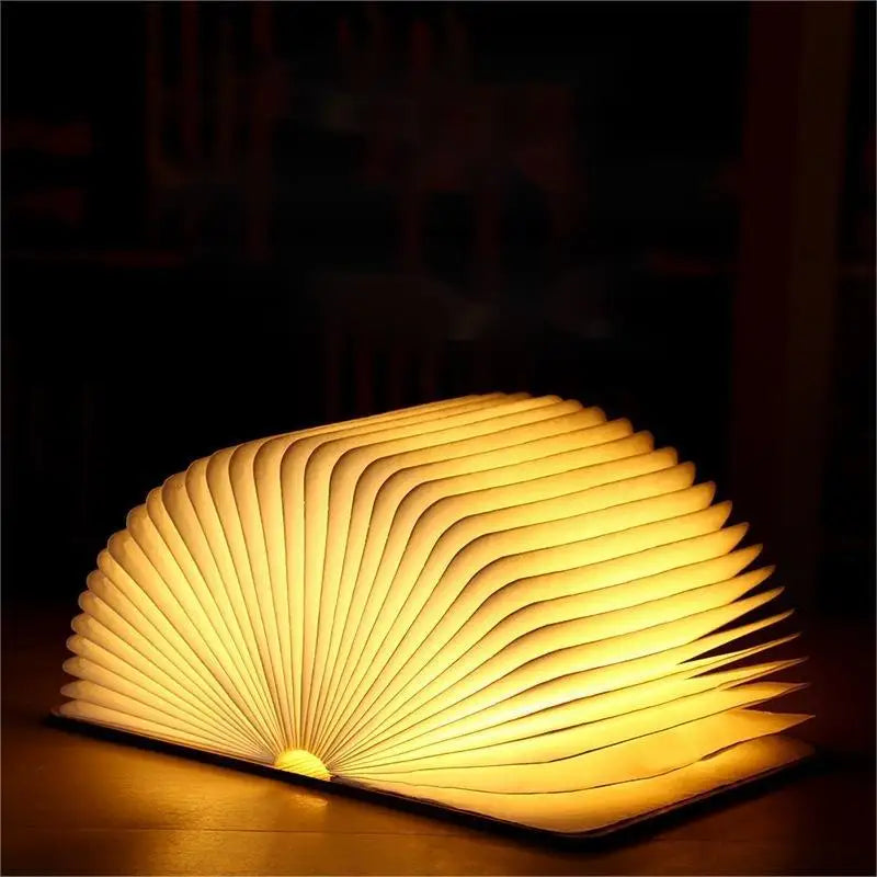 Lampe livre LED "LumiBook"