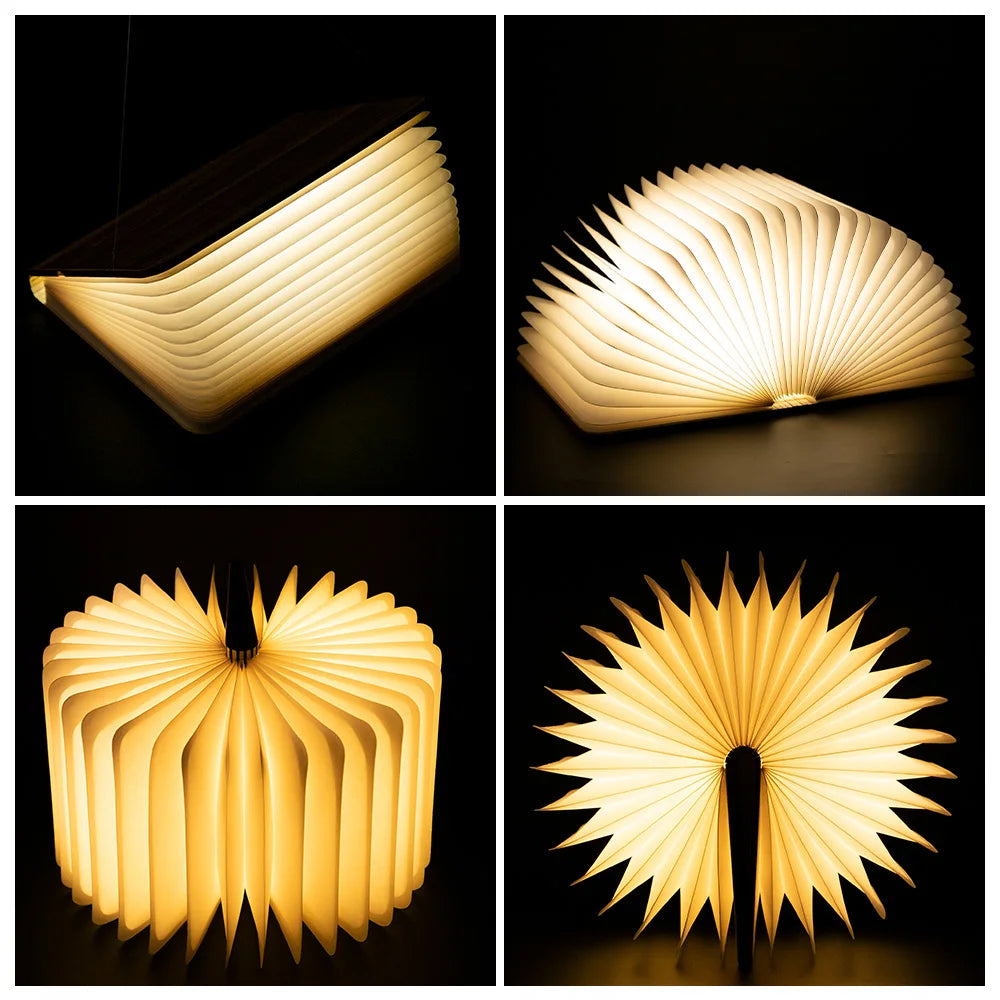 Lampe livre LED "LumiBook"